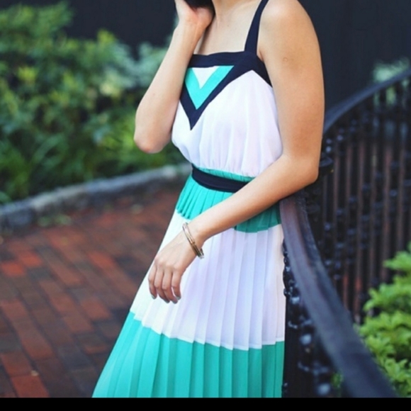 Banana Republic x Milly Maxi Pleated Dress - Picture 4 of 10
